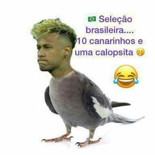 WhatsApp Image 2018-06-22 at 14.26.41