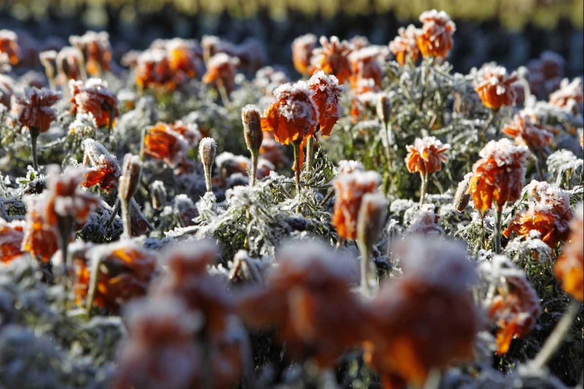 Foto: Antônio More/Arquivo/Gazeta do Povo