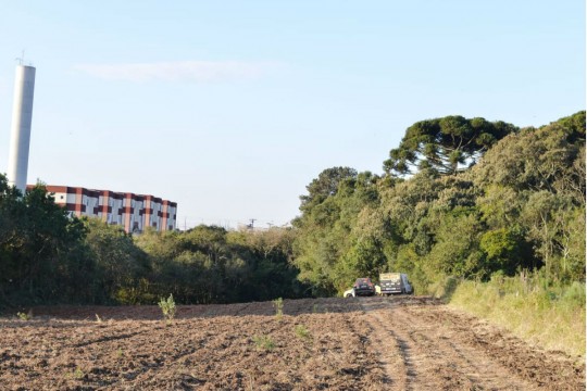 Entrada da mata, em Araucária. Foto: Colaboração/Marco Charneski