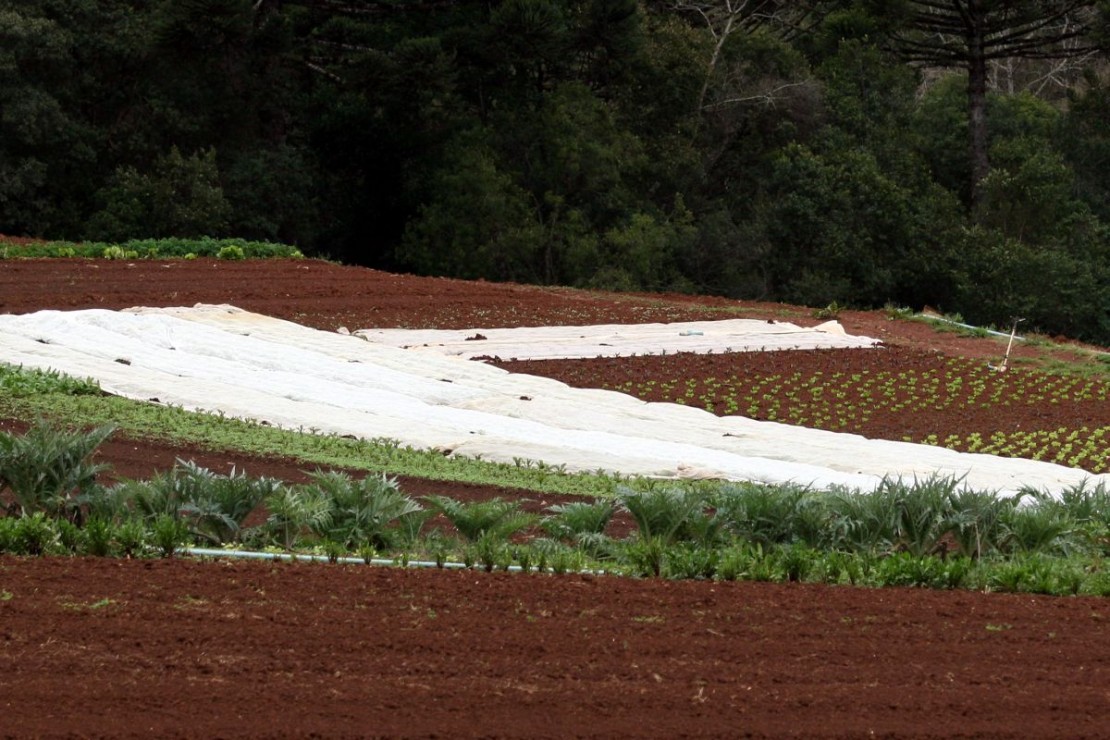 Imagem ilustrativa. Foto: Arquivo/Tribuna do Paraná