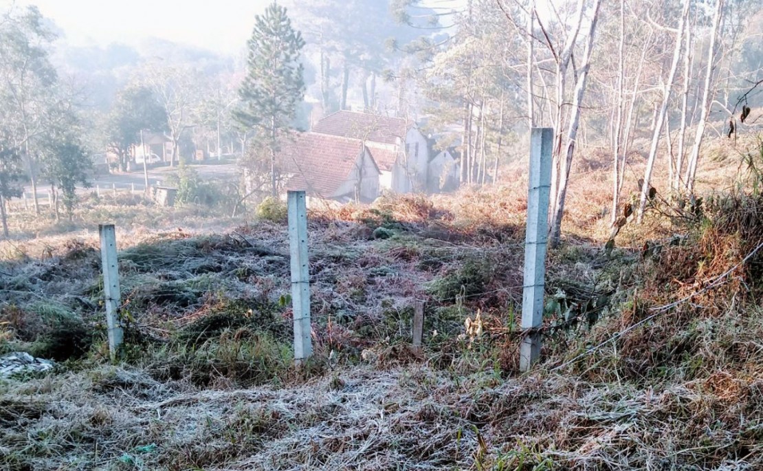 Geada em Curitiba foi registrada no bairro Augusta, nas proximidades do Parque Passaúna. Foto: Átila Alberti.