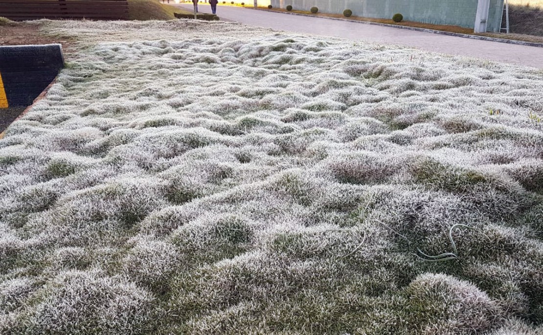 Geada foi registrada em São José dos Pinhas. Foto: Colaboração/Leitor.