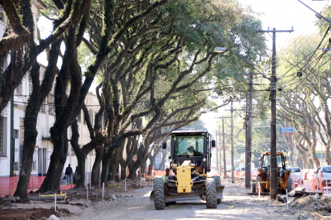 Foto : Lucilia Guimarães