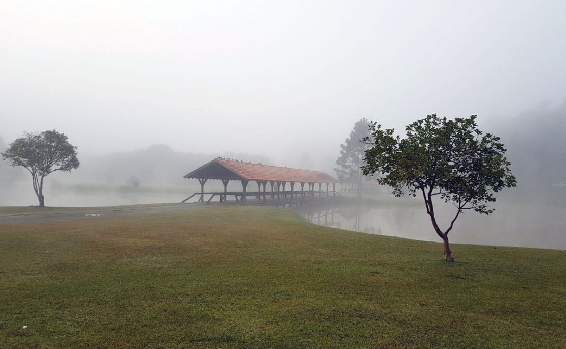Neblina marcou presença em Curitiba nesta manhã. Foto: Giselle Ulbrich/Arquivo/Tribuna do Paraná