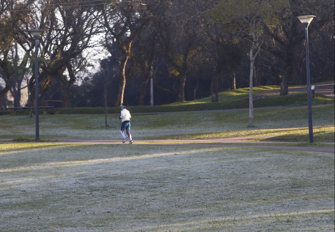 Foto: Aniele Nascimento/Arquivo/Gazeta do Povo