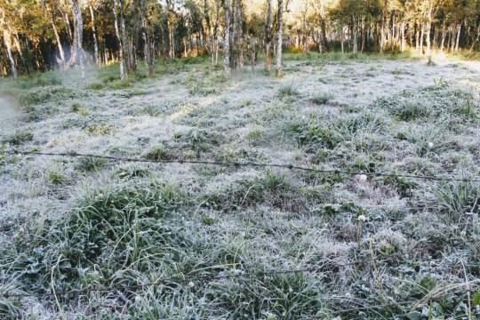 Foto: Átila Alberti/Tribuna do Paraná.