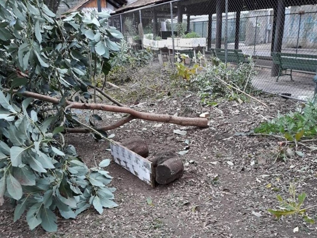 Foto: Alexandre Zampier/Reprodução/Facebook