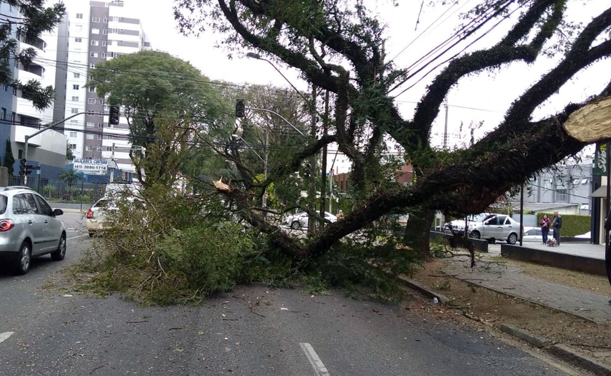 Foto: Divulgação/Setran.