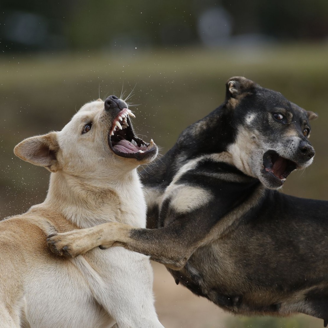 Imagem ilustrativa. Foto: Jonathan Campos/Gazeta do Povo