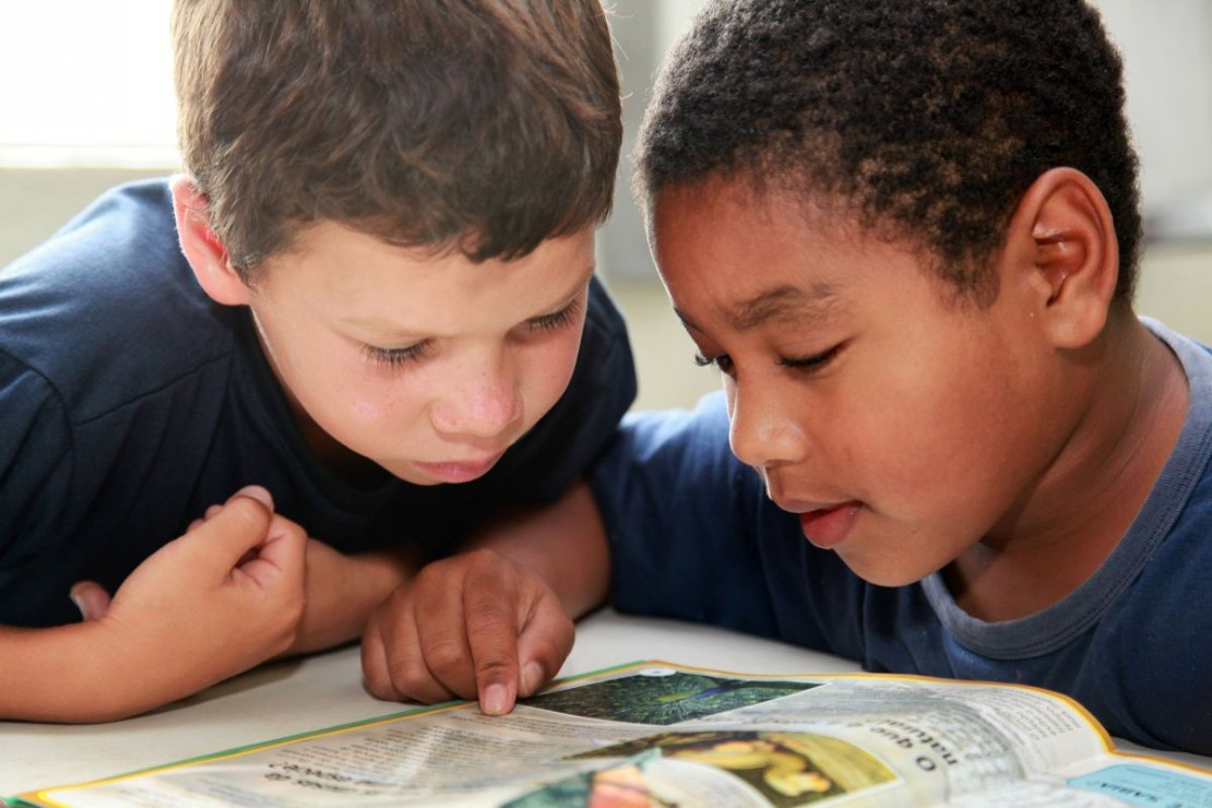 Foto: Cesar Brustolin/SMCS