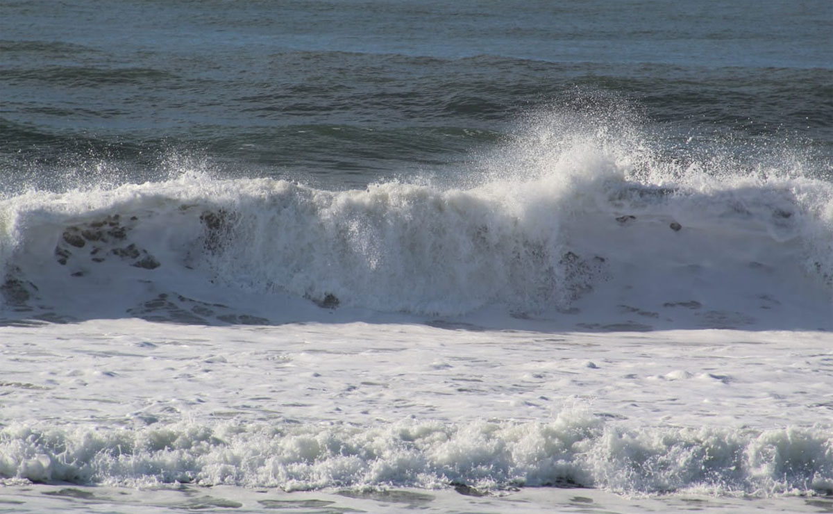 Foto: Colaboração/Almir Alves.