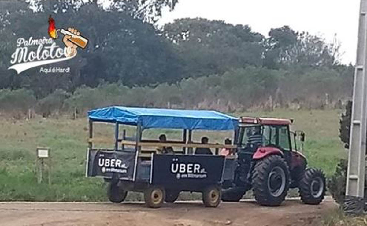 Empresária lança "Uber de carroça" em Palmeira, no interior do Paraná.