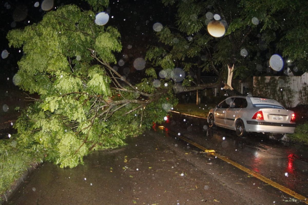 Foto: Átila Alberti/Tribuna do Paraná