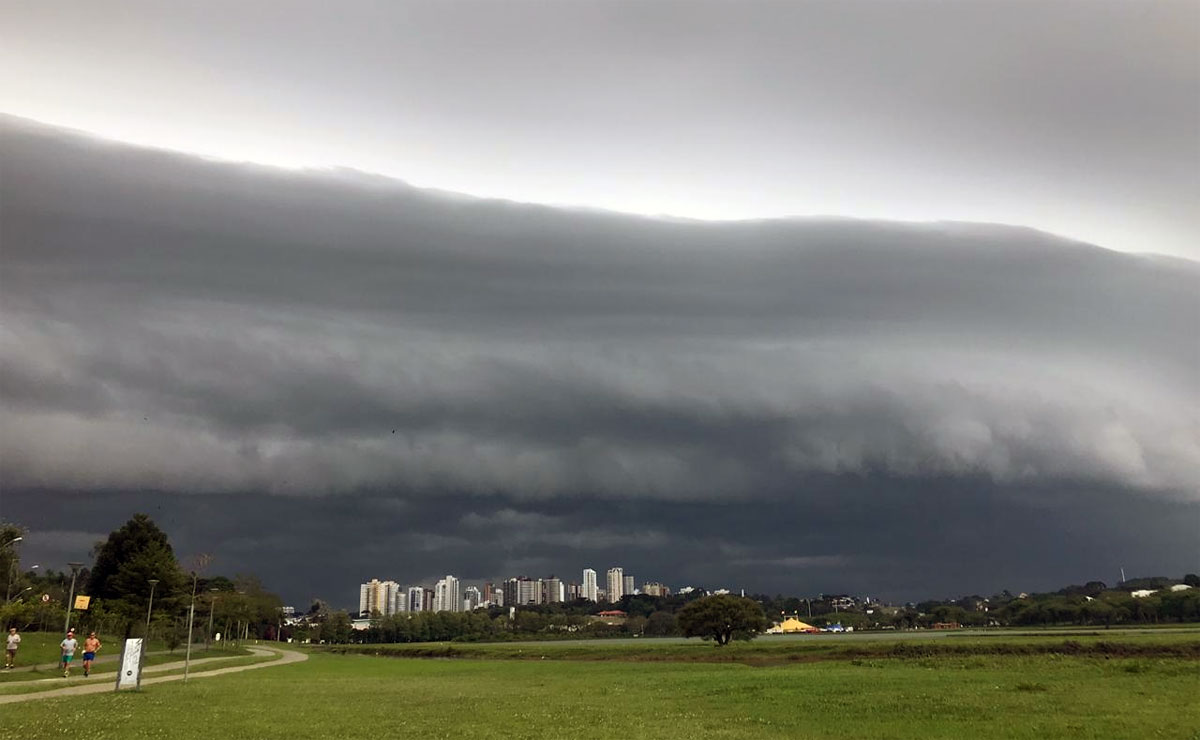Foto: Maria Luiza Piccoli/Tribuna do Paraná.