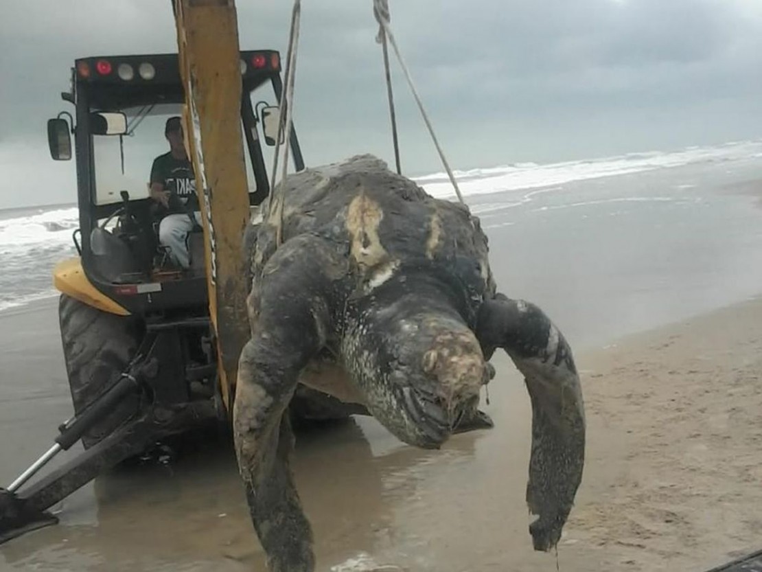 Foto: Colaboração/Jornal de Guaratuba