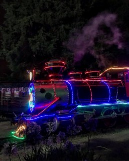 Foto: Lucas Sarzi/Tribuna do Paraná.