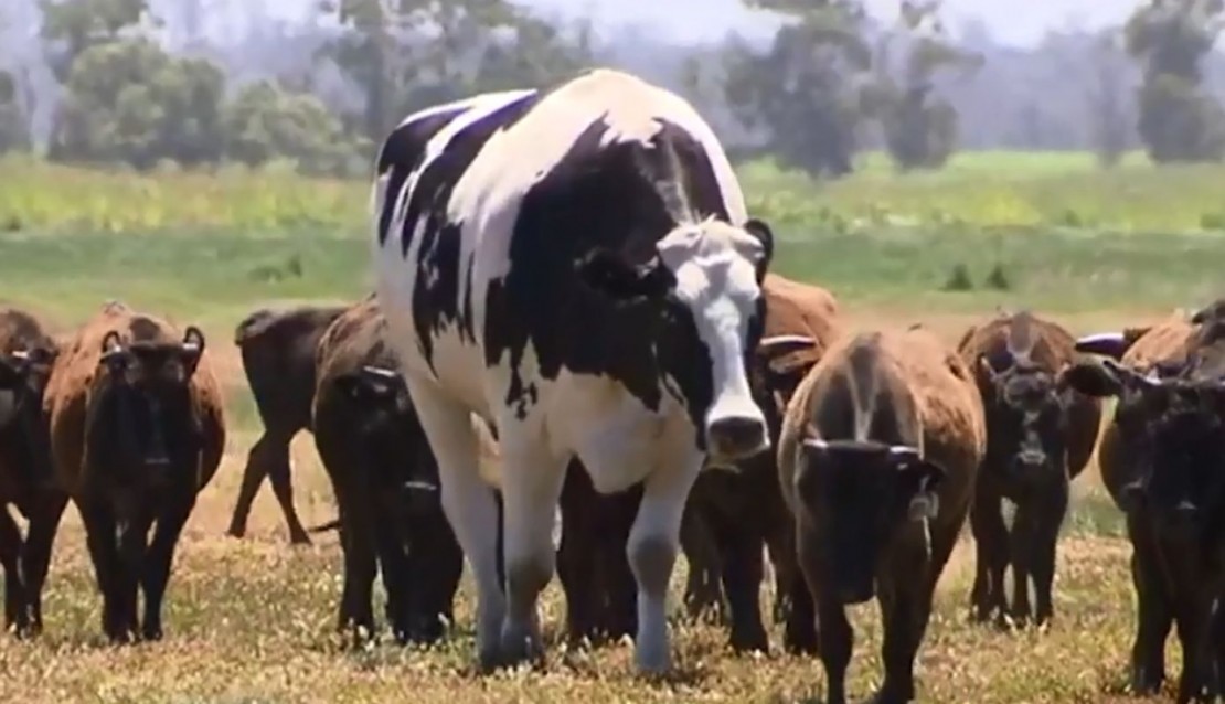 Foto: Reprodução/Daily Mail