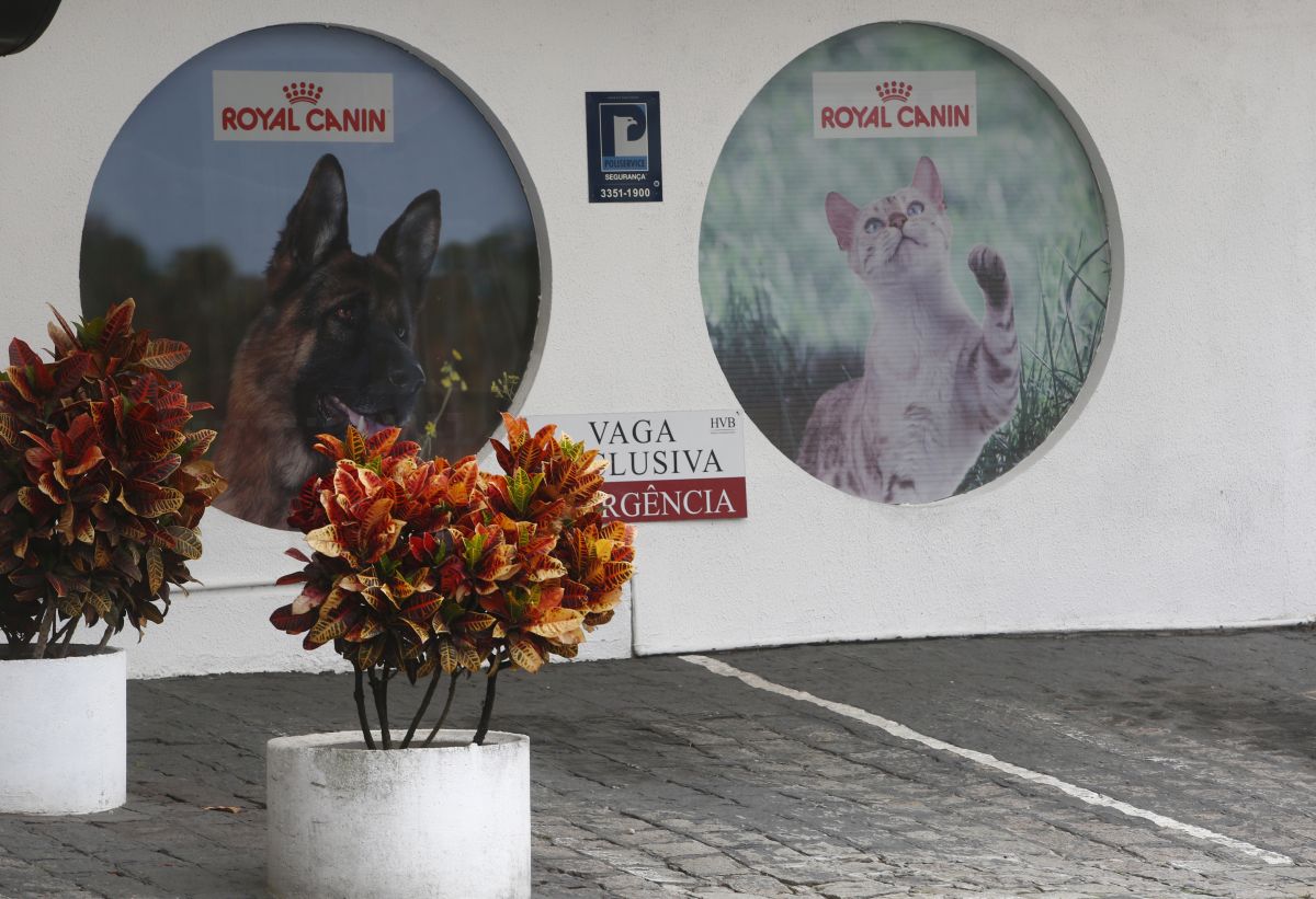 Câmara apreciou o veto do prefeito Rafael Greca ao uso do recuo para estacionamento em frente a comércios. Foto: Aniele Nascimento/Arquivo/Gazeta do Povo