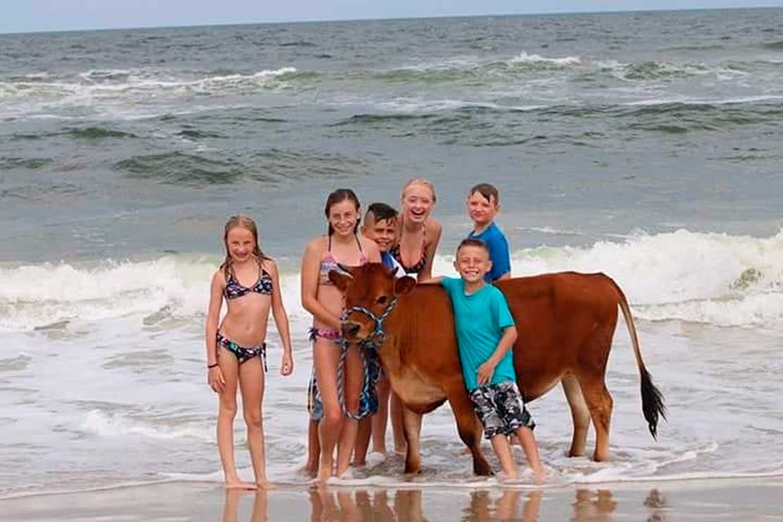Finn, o boi de estimação. Foto: Reprodução/Instagram