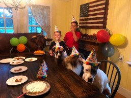 Finn, o boi de estimação. Foto: reprodução/Instagram (finns.finnstagram)