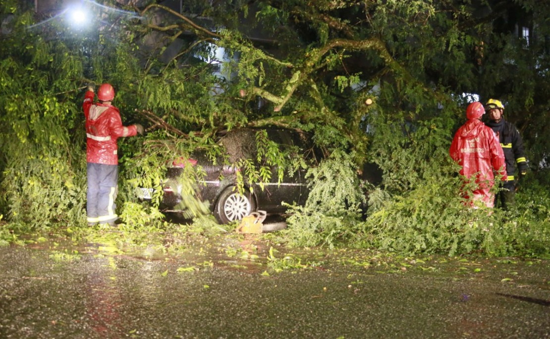 Foto: Lineu Filho/Tribuna do Paraná.