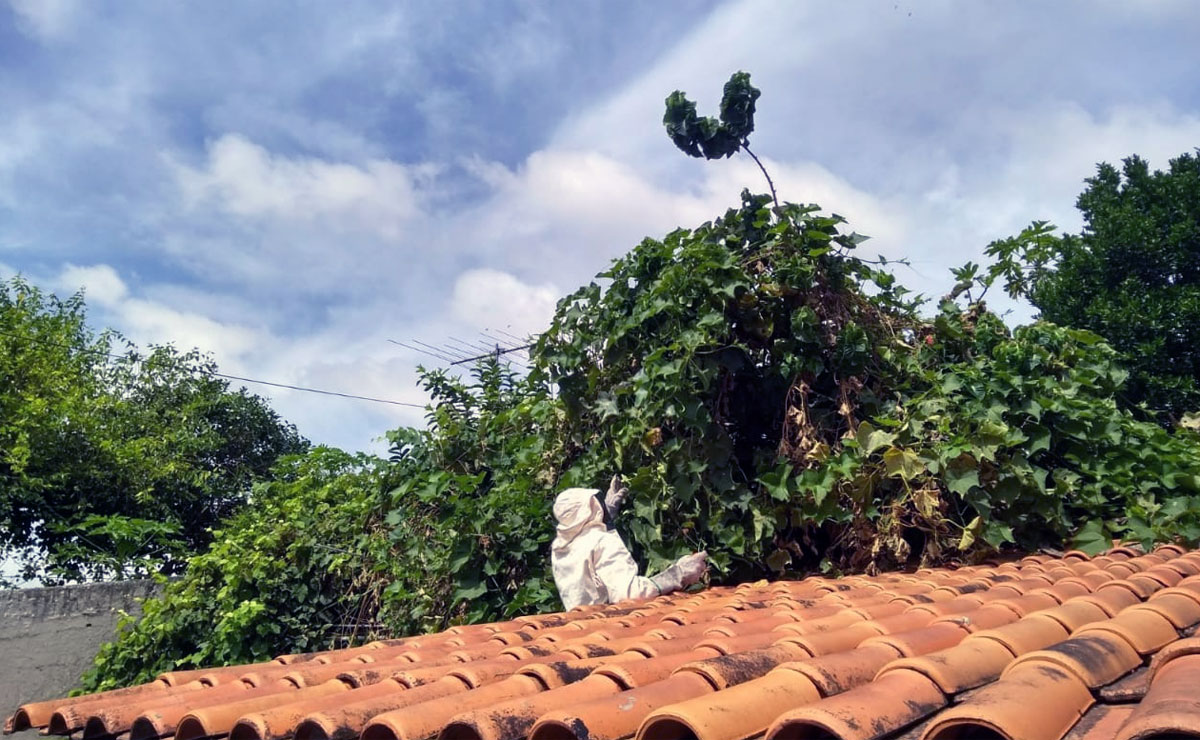 Foto: Gerson Klaina/Tribuna do Paraná.