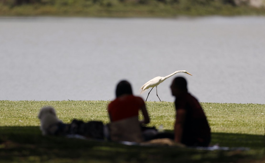 Foto: Jonathan Campos/Gazeta do Povo.