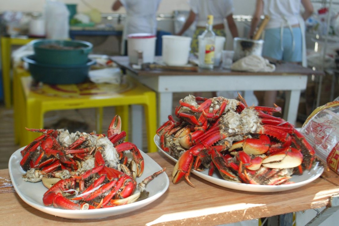Festa do Caranguejo no balneário Schangrilá, em Pontal do Paraná. Foto: Arquivo/Tribuna do Paraná