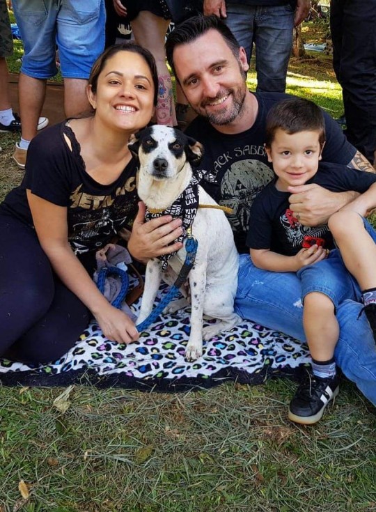 A cadelinha Branca, em família. Foto: Arquivo Pessoal