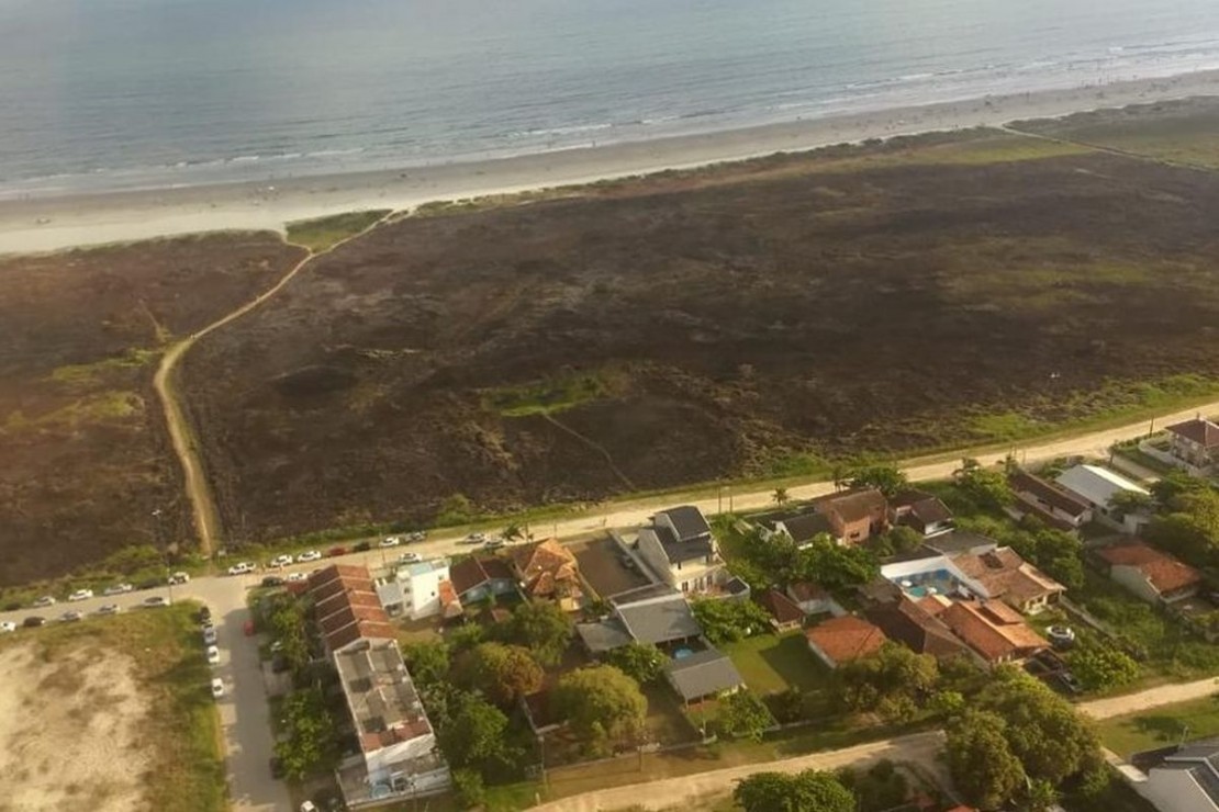 Fogo em Pontal do Paraná destruiu boa parte da área de restinga. Foto: Divulgação/Corpo de Bombeiros