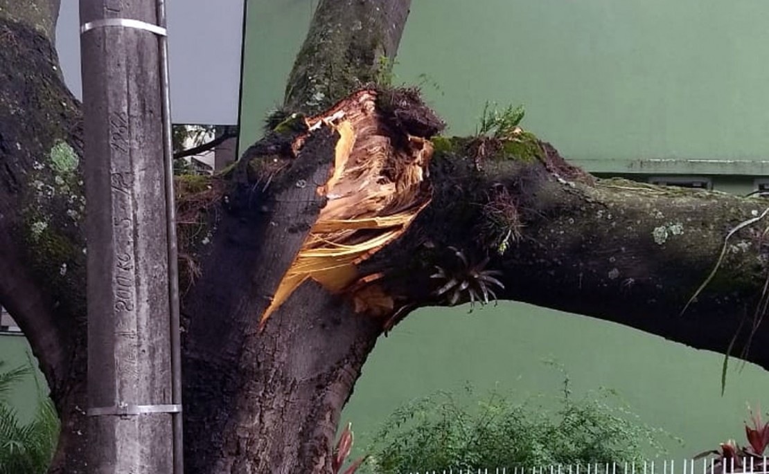 Foto: Colaboração.