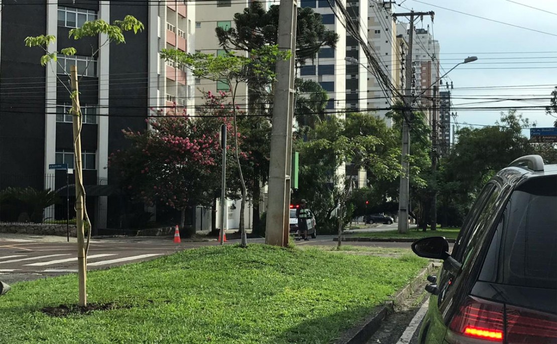 Foto: Maria Luiza Piccoli/Tribuna do Paraná