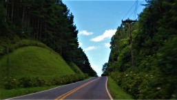 Chegar na estância é fácil e a estrada é linda. Foto: Lucas Sarzi.