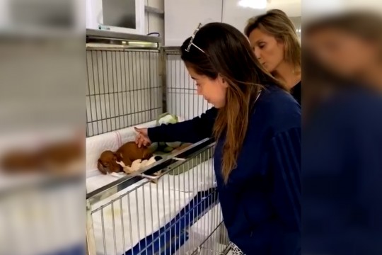 Foto: Reprodução/Instagram.