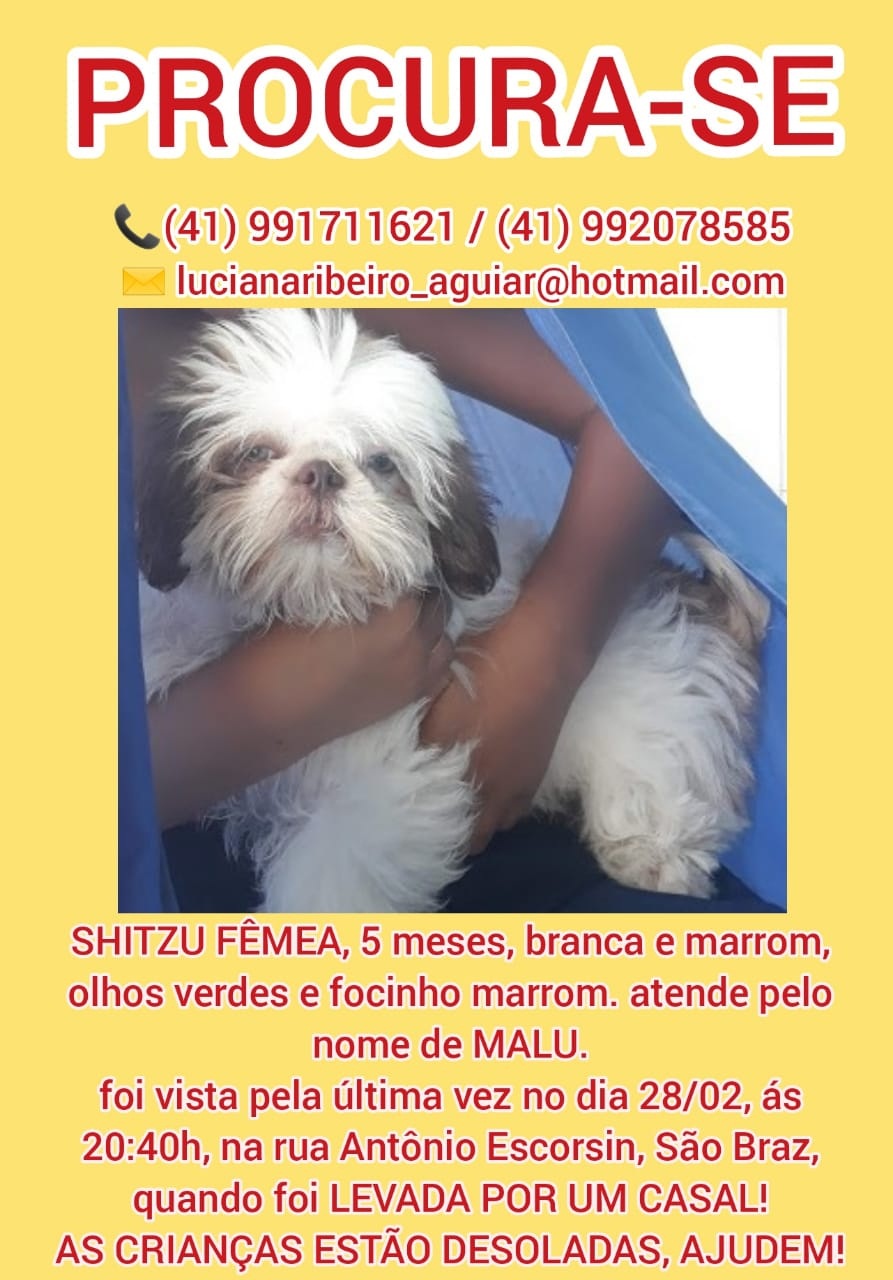 Família pede que, se alguém tiver informações sobre o paradeiro da cachorrinha, entre em contato. Foto: Arquivo pessoal