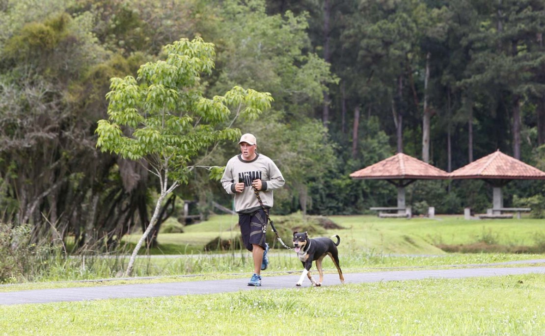 Foto: Aniele Nascimento/Arquivo/Gazeta do Povo