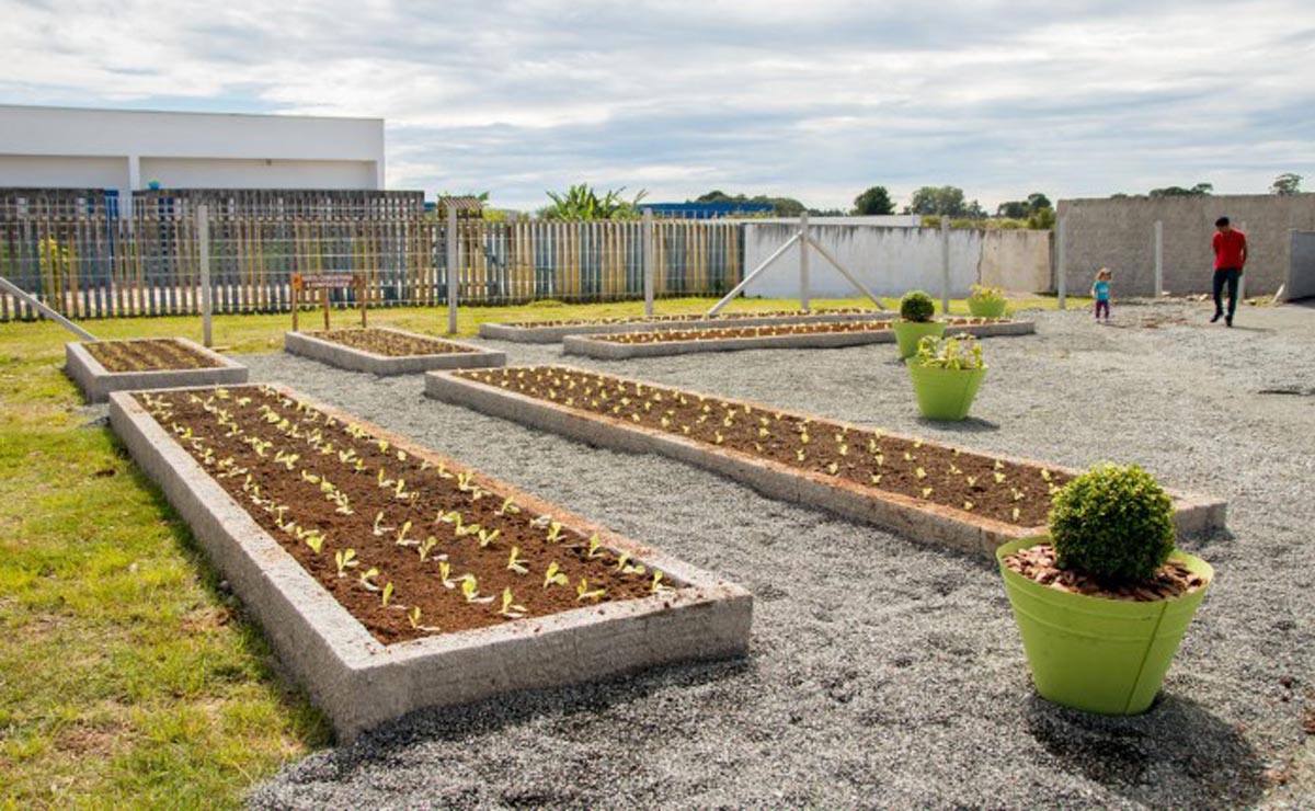 Espaço também conta com uma horta comunitária. Foto: Divulgação/Prefeitura de São José dos Pinhais
