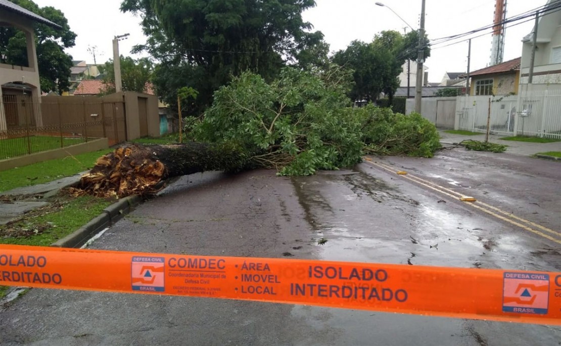Foto: Gerson Klaina/Tribuna do Paraná