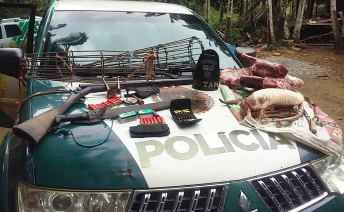 Foto: Divulgação/Polícia Ambiental.