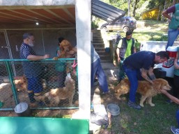 Foto: Divulgação/Polícia Civil.