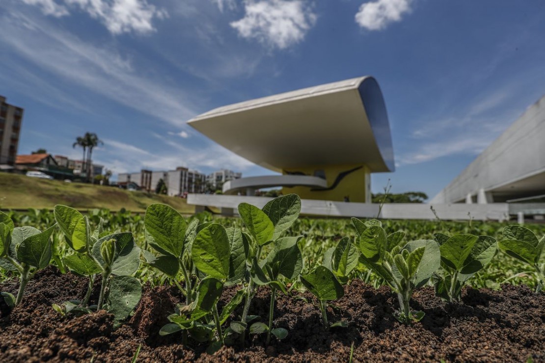 Imagem ilustrativa. Foto: Jonathan Campos/Arquivo/Gazeta do Povo