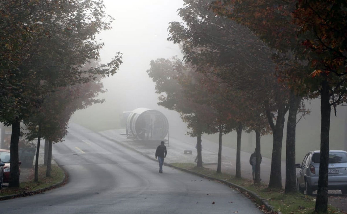 Foto: Átila Alberti/Tribuna do Paraná.