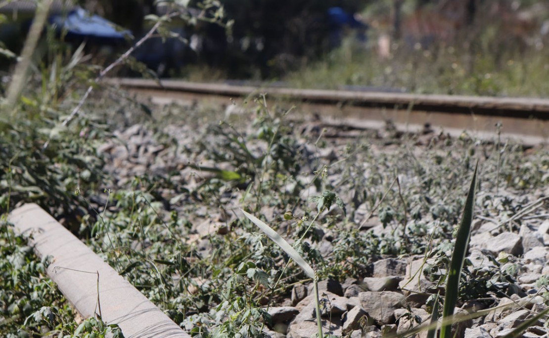 Foto: Rodrigo Cunha/Tribuna do Paraná.