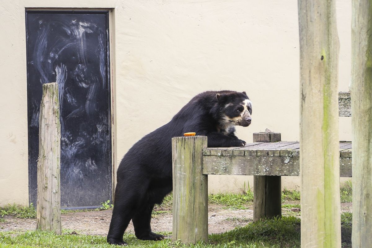 Foto: Luiz Costa/SMCS