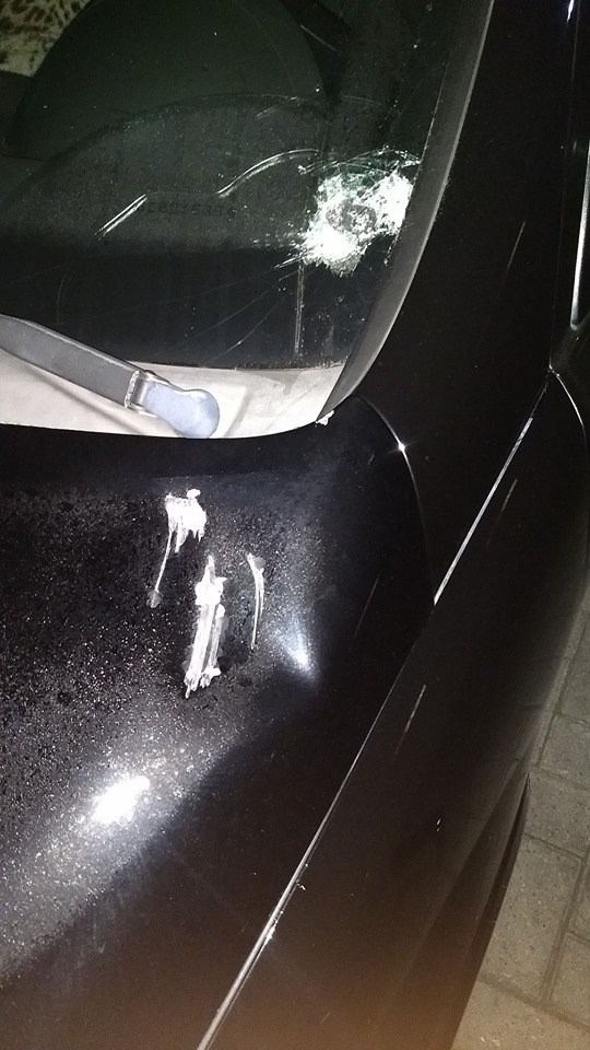 Segundo a PRF, dupla causou estragos em pelo menos dez veículos. Foto: Divulgação/PRF