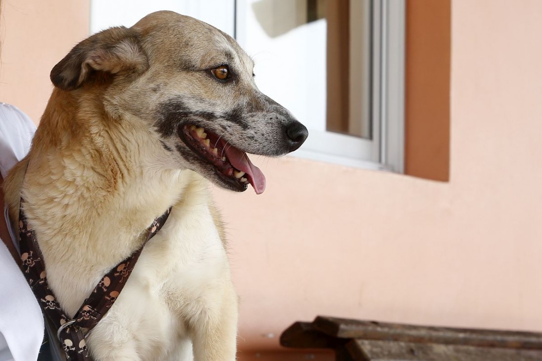 Imagem ilustrativa. Foto: Aniele Nascimento/Arquivo/Gazeta do Povo