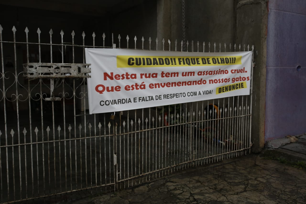 Faixa contra as mortes dos gatos, em uma das casas do Sítio Cercado. Foto: Atila Alberti/Tribuna do Paraná
