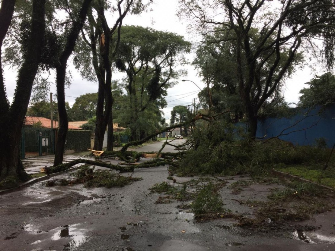Rua Jaime Veiga, no Seminário. Foto: Felipe Rosa/Tribuna do Paraná