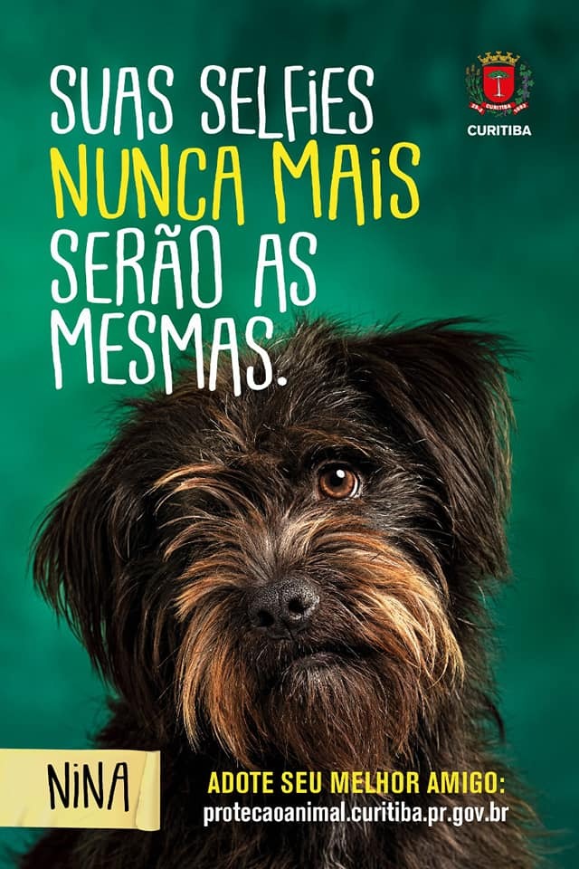 WhatsApp Image 2019-06-11 at 10.53.27 (1)