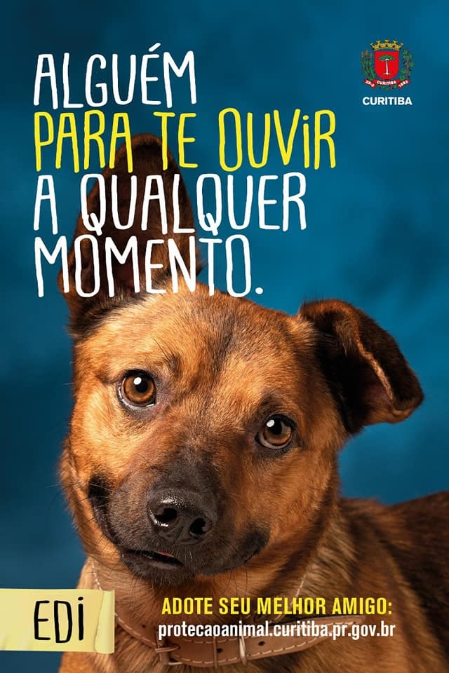 WhatsApp Image 2019-06-11 at 10.53.27 (2)